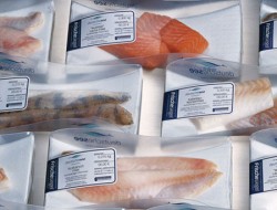 Etiquetas adesivas para alimentos congelados