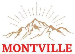 MONT VILLE ELEVADORES