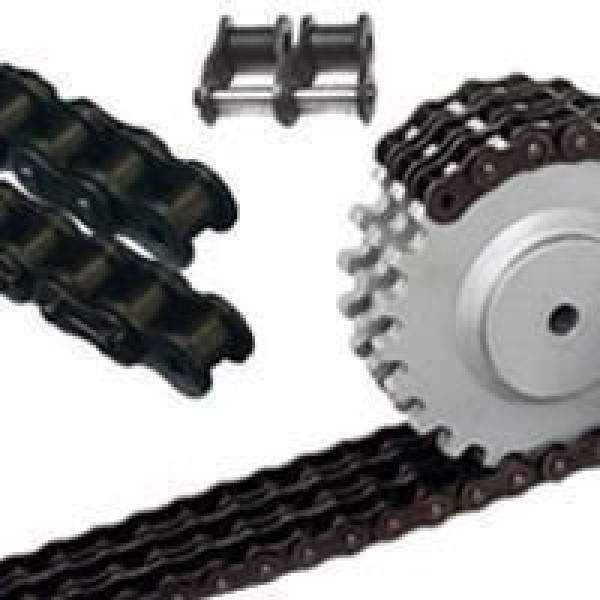 Polia dentada para corrente