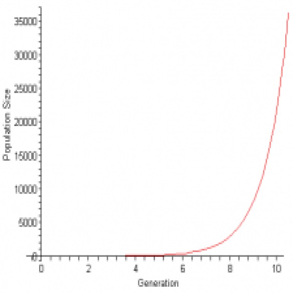 Sacola plástica personalizada lojas