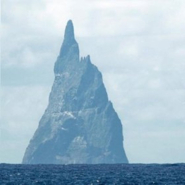 Sacola plástica personalizada lojas