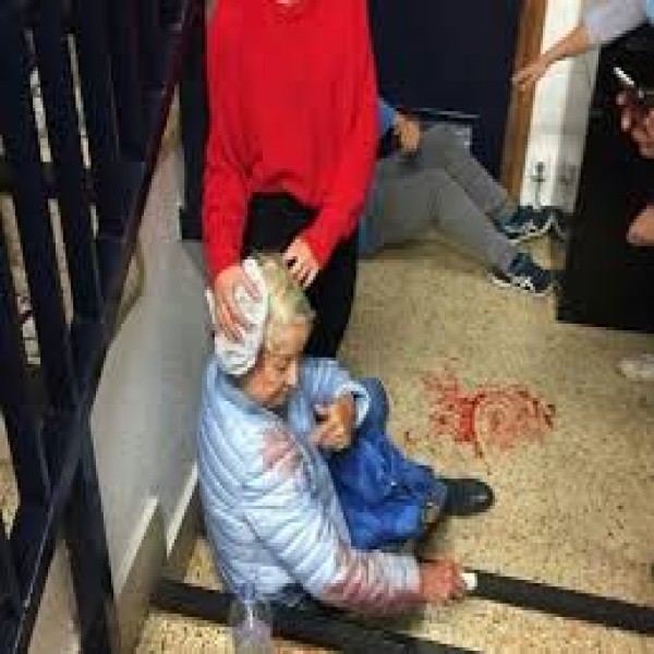 Curso de brigadista e socorrista 