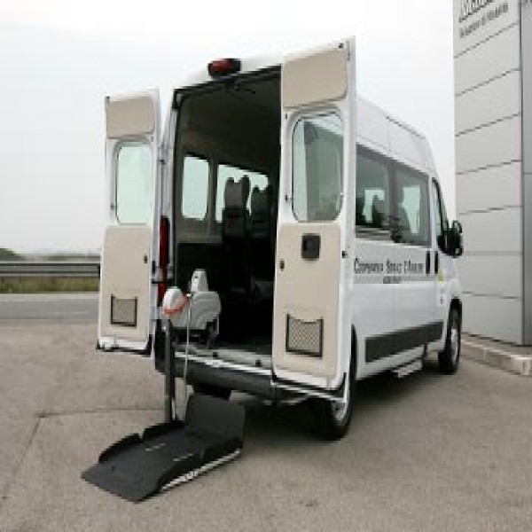 Plataforma elevatória cargas veiculares para vans