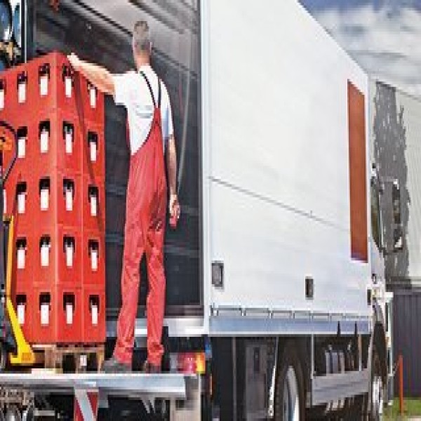Plataforma elevatória de carga veicular