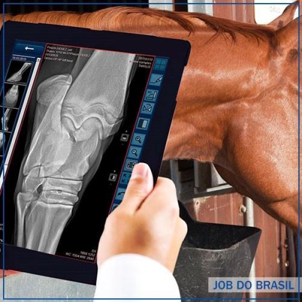 Aparelho de raio x digital veterinário	