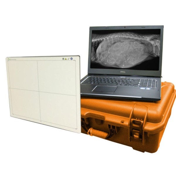 Detector DR portátil	
