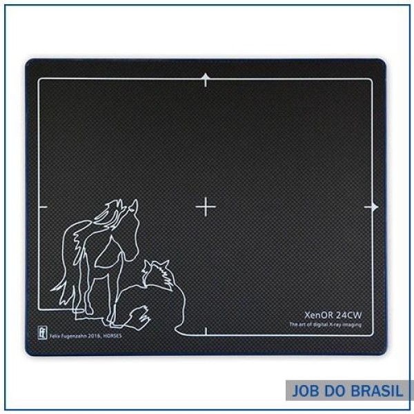 Sistema DR wireless