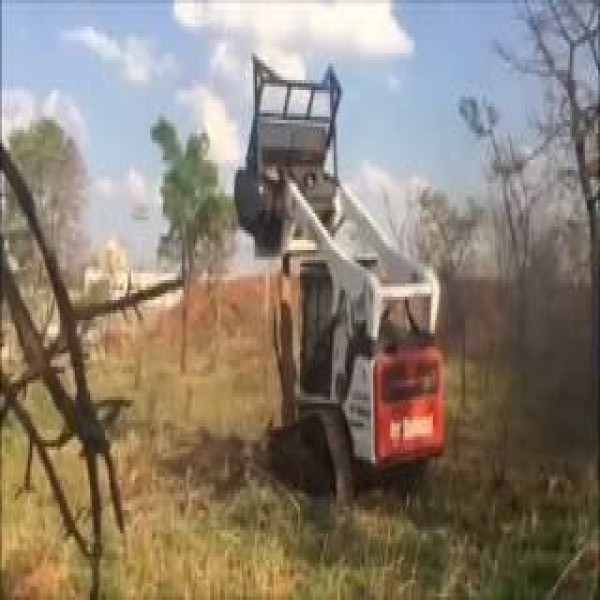 Desbastador florestal para Escavadeira