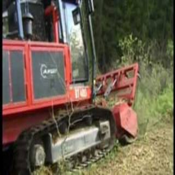 Desbastador florestal para Escavadeira