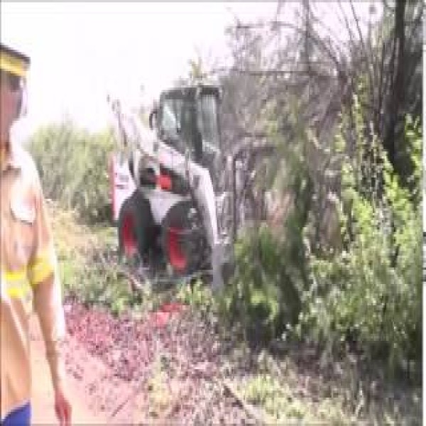 Desbastador florestal para Escavadeira
