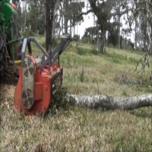 Desbastador florestal para Escavadeira