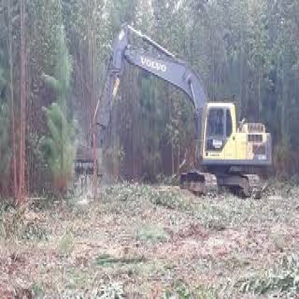 Desbastador florestal para Escavadeira