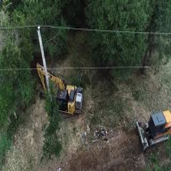 Desbastador florestal para Escavadeira