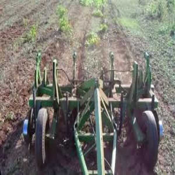 Desbastador florestal para Escavadeira