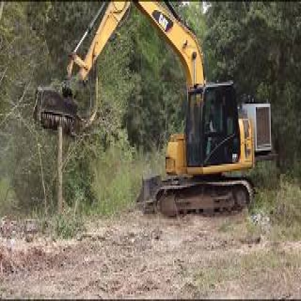 Desbastador florestal para Escavadeira