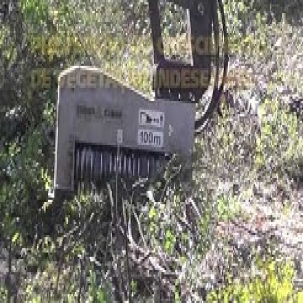 Desbastador florestal