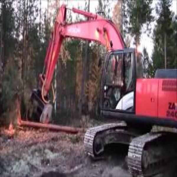 Desbastador florestal