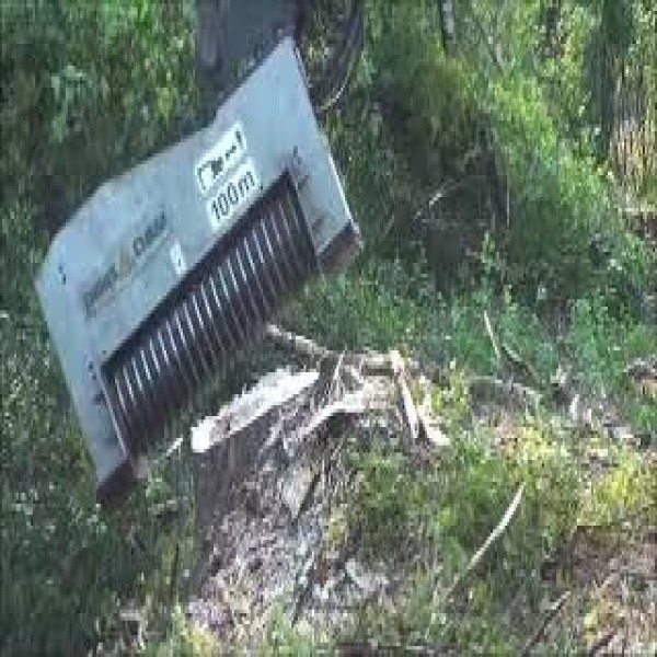 Desbastador florestal