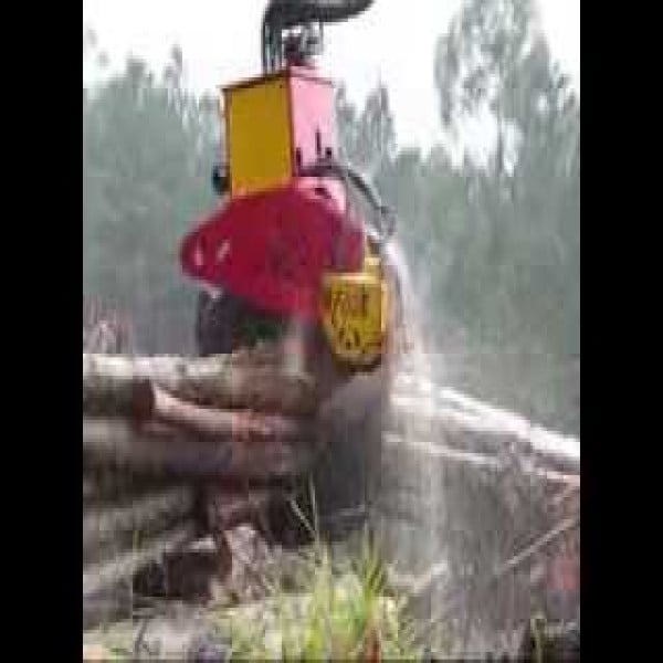Garra traçadora florestal
