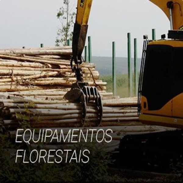 Garra traçadora florestal