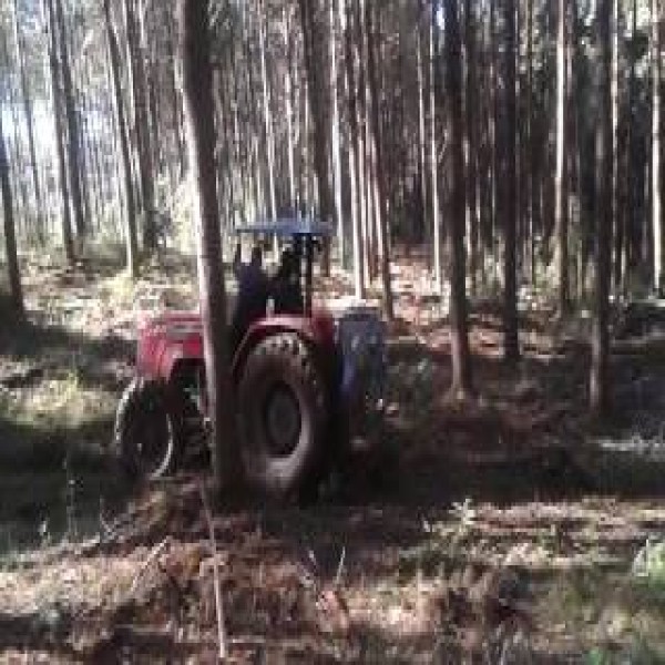 Pinça florestal para trator