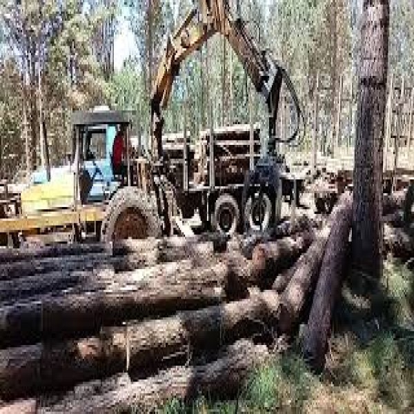 Pinça florestal para trator