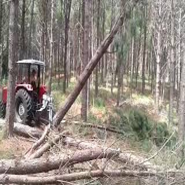 Pinça florestal para trator
