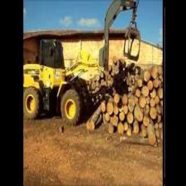Pinça florestal para trator