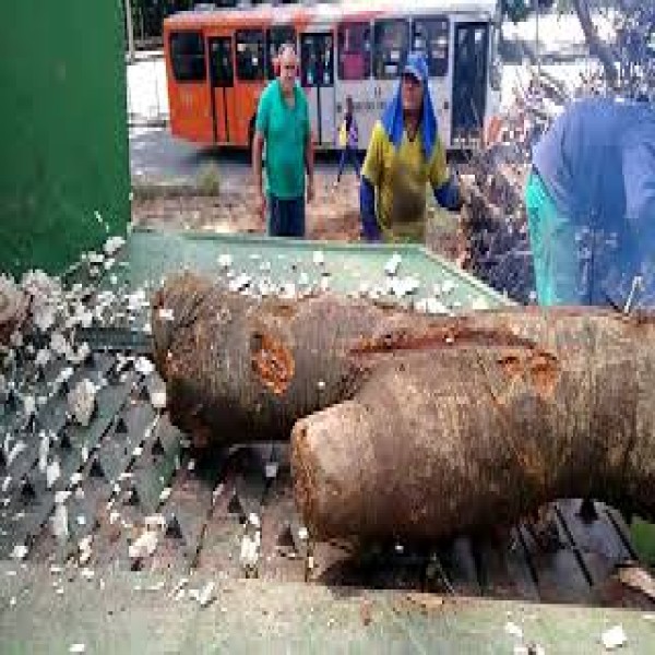 Triturador de galhos para trator