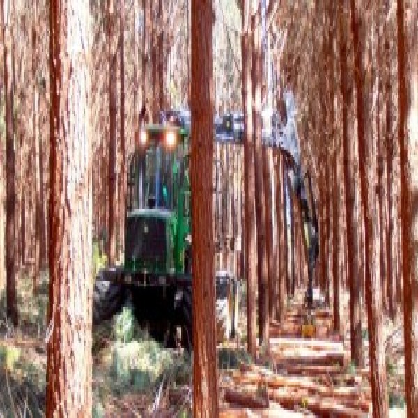 Triturador de galhos para trator
