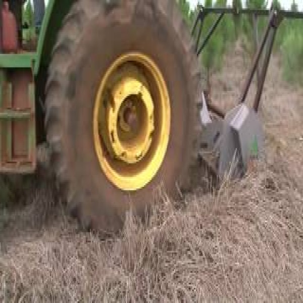 Triturador florestal para trator a venda