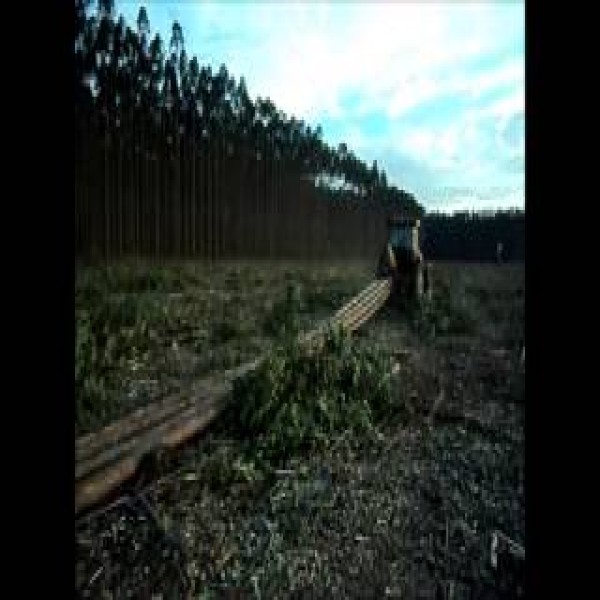 Triturador florestal para trator