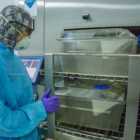 manutenção autoclave valor