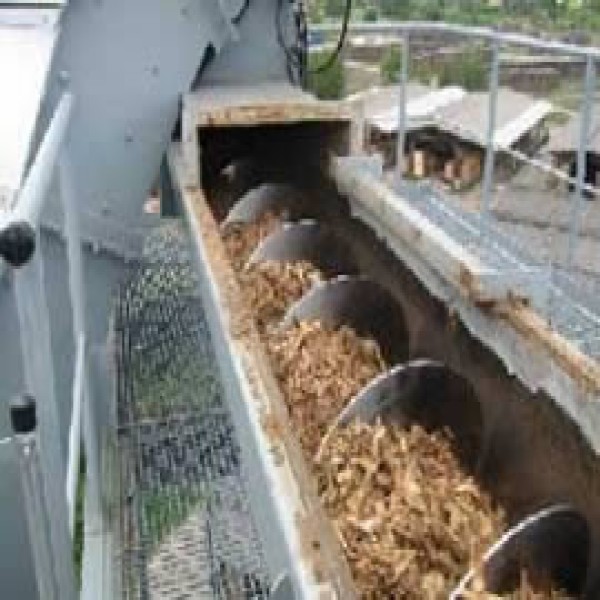Rosca transportadora