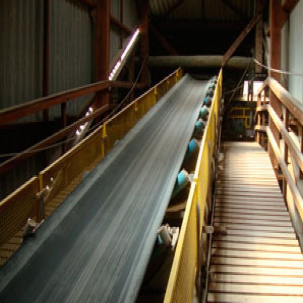 Esteira transportadora de correia