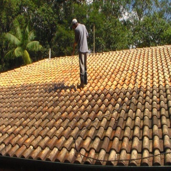 Lavagem de telhado