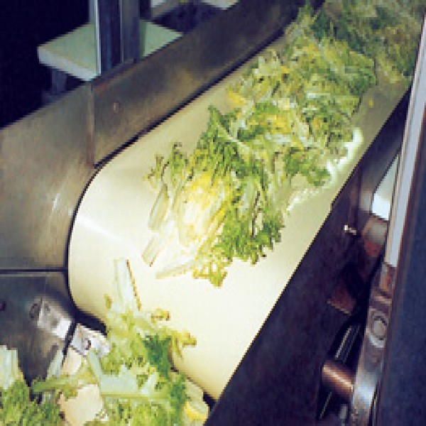 Esteira transportadora alimentícia