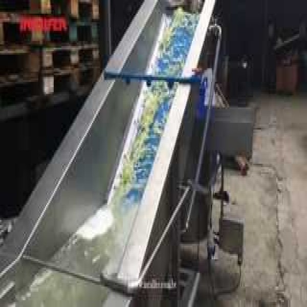 Lavadora de verduras e hortaliças
