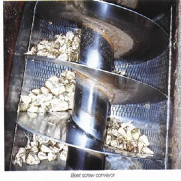 Transportador helicoidal inox