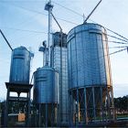 limpeza de silo em sp