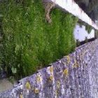 valor limpeza de calhas