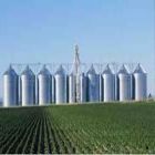 limpeza de silos preço