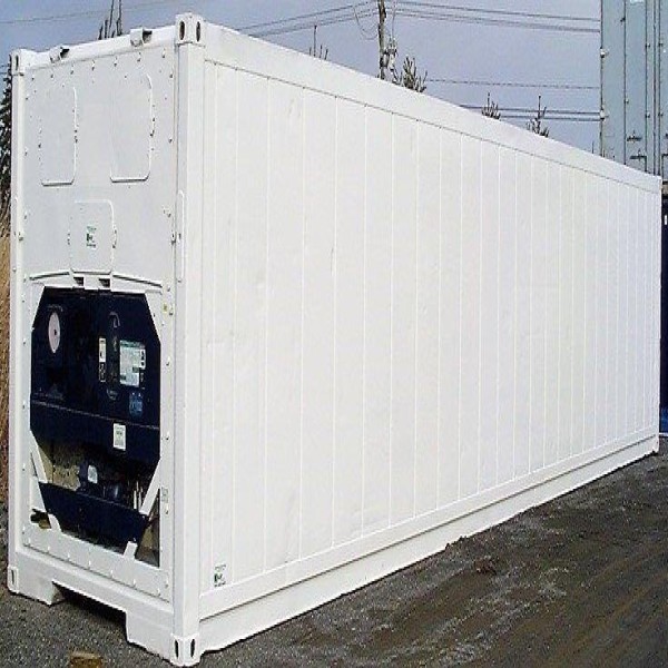 Containers marítimos refrigerados
