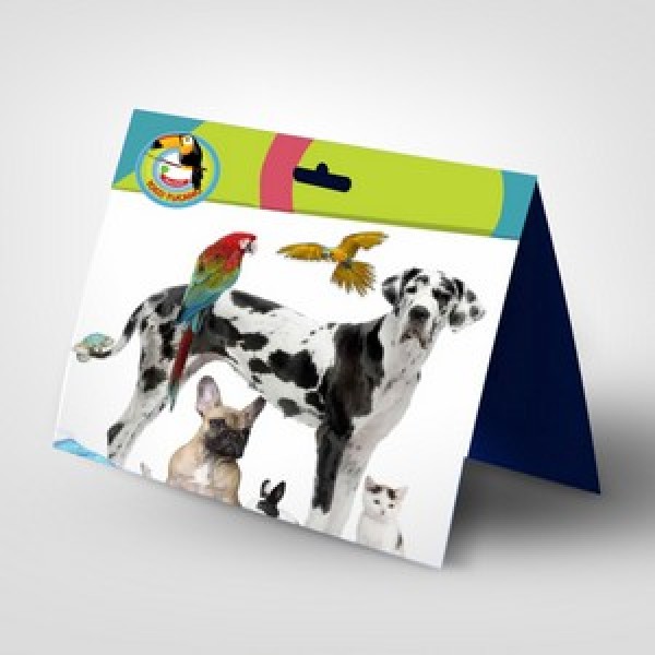 Comprar cartelas blister