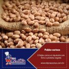 Cesta natalina para empresas distribuidor