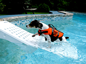 Plataforma Para Escada De Piscina Para Cachorro Sarlo Plasticos