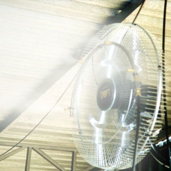 climatizador ventilador
