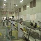 Reforma de indústrias orçamento