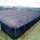 cobertura com sombrite para plantas