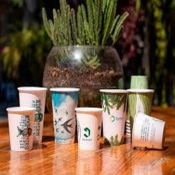 Copo de papel biodegradável personalizado